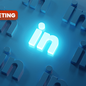 LinkedIn  Growth Guide